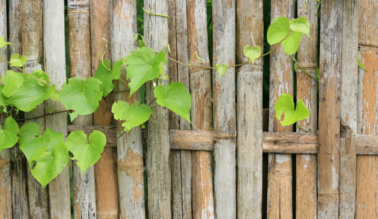 Arredamento giardino piccolo in poche semplici mosse Evocasa